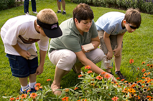 Boys exploring plantings with instructor